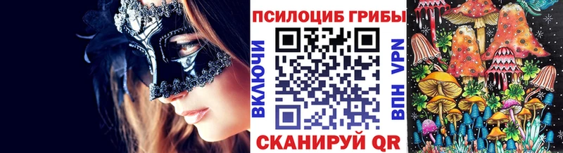 Купить  Цимлянск  Галлюциногенные грибы Magic Shrooms 