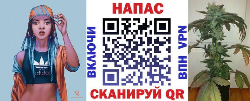 Купить закладки  Цимлянск  Марихуана план 